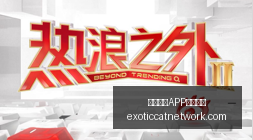 意甲焦点战,莱奥助飞特,奥制胜,熊猫体育,熊猫体育下载,版本更新