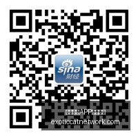 菲方侵权挑,衅遭中国海,警局严正警,熊猫体育,熊猫体育下载,版本更新